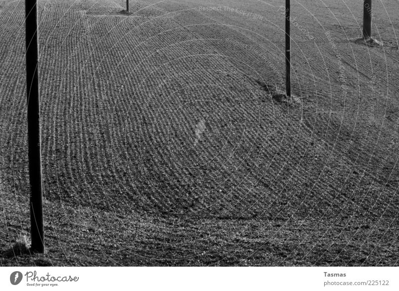 Same Old Thing Landschaft Erde Ackerbau Feld Ackerboden authentisch Telefonmast Strommast Schwarzweißfoto Außenaufnahme Menschenleer Sonnenlicht