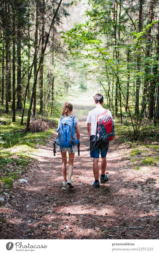 Junge und Mädchen, die in einen Wald am Sommertag wandern Lifestyle Ferien & Urlaub & Reisen Ausflug Abenteuer Freiheit Junge Frau Jugendliche Junger Mann