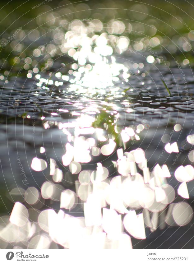 400 Natur Urelemente Wasser Schönes Wetter Gras Wellen Bach Flüssigkeit frisch natürlich Zufriedenheit ruhig Licht Farbfoto Außenaufnahme Menschenleer Tag