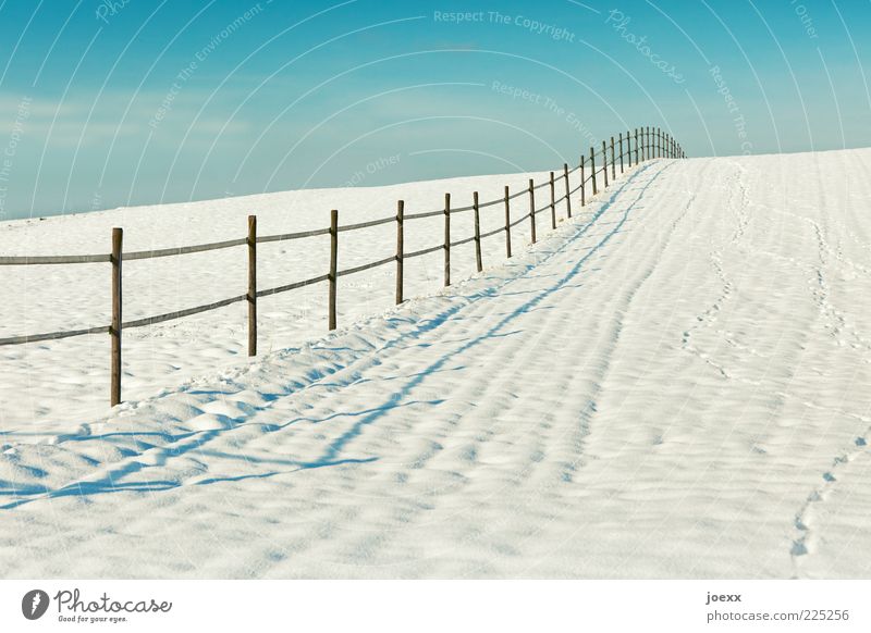 Mein Gartenzaun. Landschaft Winter Schönes Wetter Schnee Feld alt blau weiß Zaun Grenze Farbfoto mehrfarbig Außenaufnahme Textfreiraum rechts Tag Licht Schatten