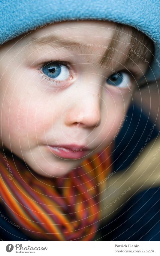 Kleiner Fratz Lifestyle Mensch maskulin Kind Junge Gesicht Auge 1 3-8 Jahre Kindheit beobachten Blick klug Gefühle Stimmung Tapferkeit Coolness Gelassenheit