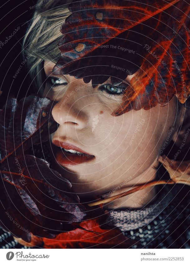 Künstlerisches Portrait einer jungen Frau mit Herbstblättern Design exotisch schön Haut Gesicht Lippenstift Sinnesorgane ruhig Mensch feminin Junge Frau