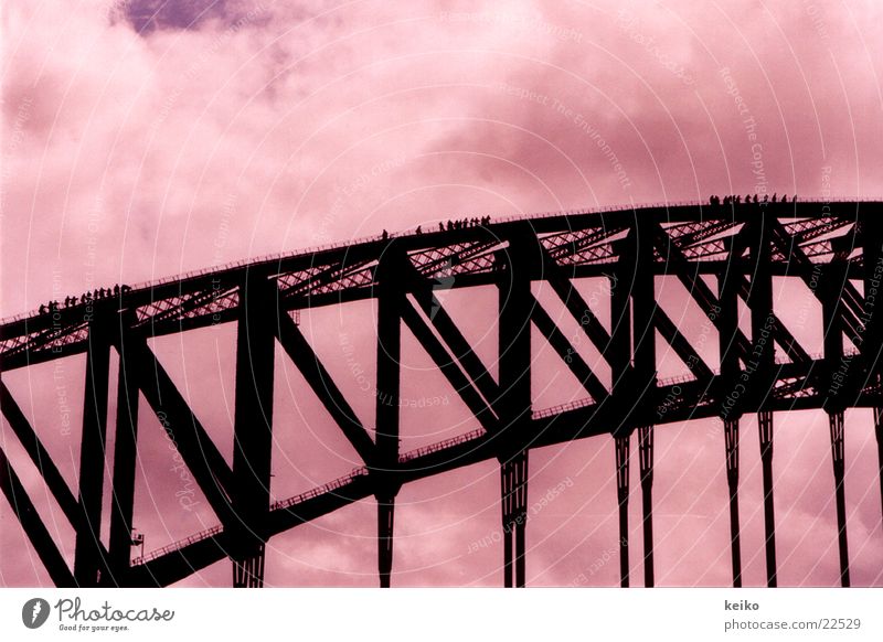 keiko Sydney Australien Brücke Mensch Brückenaufstieg