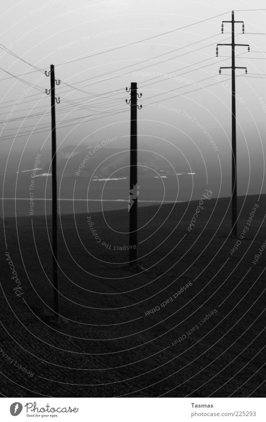 Fake Island Energiewirtschaft Elektrizität Telefonmast Strommast dunkel Haus Bauernhof Nebel Schwarzweißfoto Außenaufnahme Menschenleer Schatten Nebelstimmung