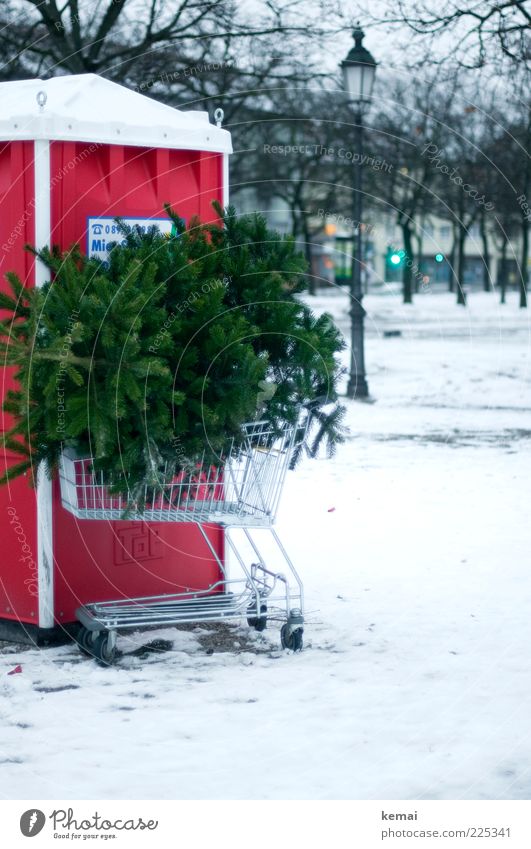 Knut Tradition schlechtes Wetter Eis Frost Schnee Pflanze Baum Tanne Stadt Menschenleer Toilette Einkaufswagen Laterne Laternenpfahl Straßenbeleuchtung grün