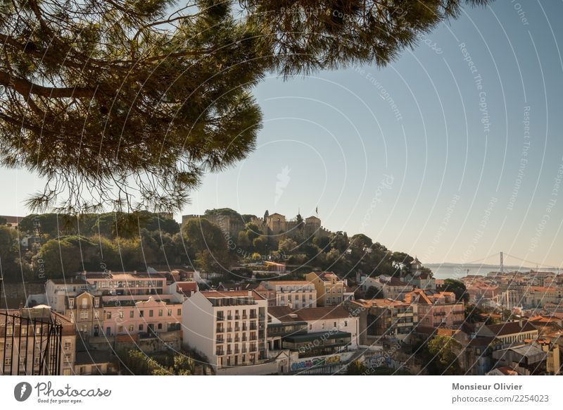 Lissabon Portugal Europa Stadt Stadtzentrum Altstadt bevölkert Haus Sehenswürdigkeit Miradouro da Graça Ferien & Urlaub & Reisen Tourismus Aussicht Reisefieber