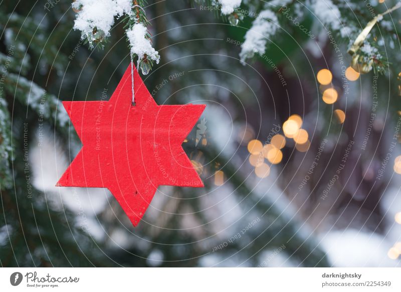 Roter Stern und Weihnachtsbaum Freizeit & Hobby Winter Schnee Weihnachten & Advent Veranstaltung Klima Wetter Schneefall Baum Grünpflanze Fichte Wald Holz