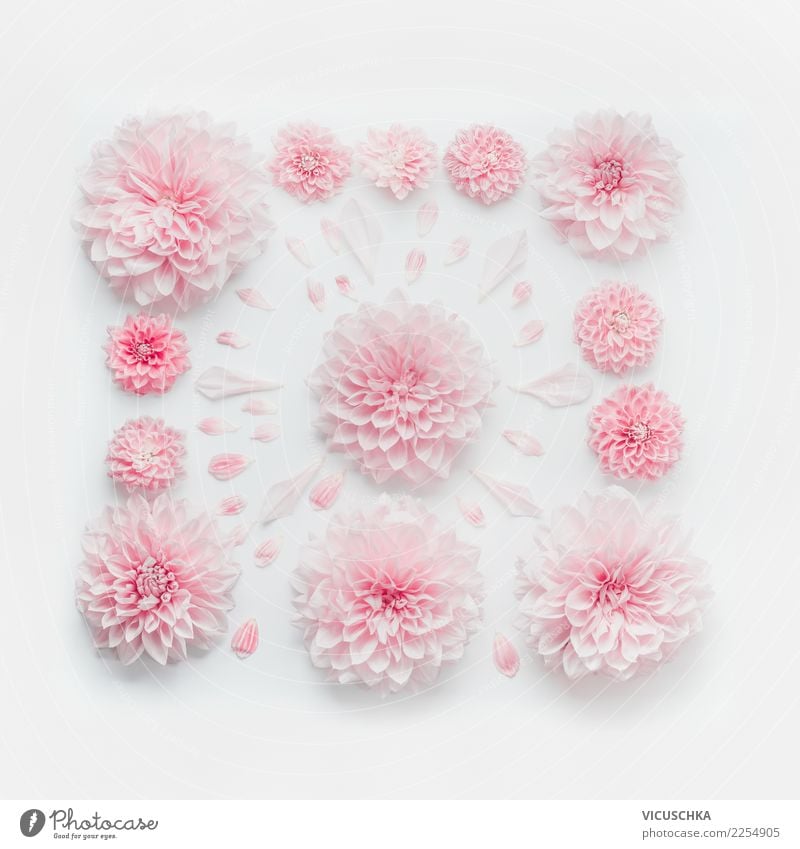 Pastel rosa Blumenkomposition Stil Design Feste & Feiern Valentinstag Muttertag Hochzeit Geburtstag Natur Pflanze Dekoration & Verzierung Blumenstrauß Ornament
