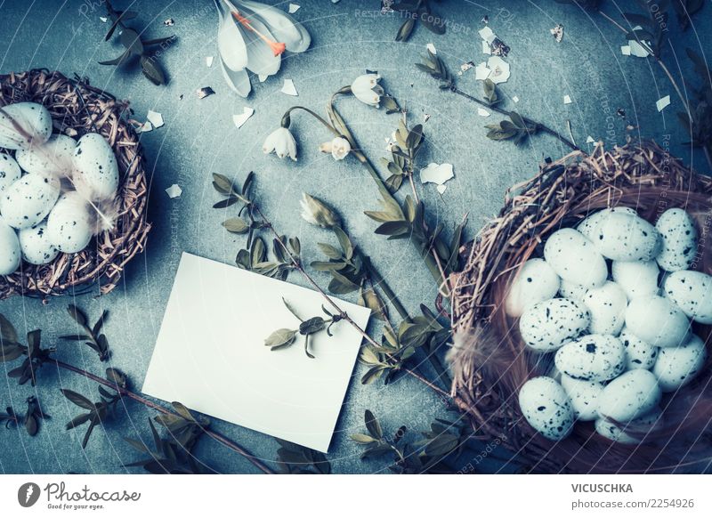 Osren Grußkarte mock up mit Nest und Eier Design Freude Feste & Feiern Ostern Natur Frühling Blume Sträucher Blüte Dekoration & Verzierung Zeichen retro blau