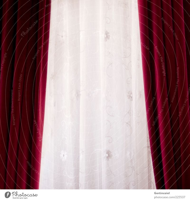 Ausblick rot weiß Vorhang Samt Stoffmuster altmodisch Farbfoto Innenaufnahme Muster Menschenleer Gardine
