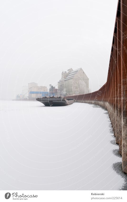 Alberner Hafen Wasser Winter Nebel Eis Frost Schnee Flussufer Donau Menschenleer Güterverkehr & Logistik Frachter Binnenschifffahrt Containerschiff Stahl Rost