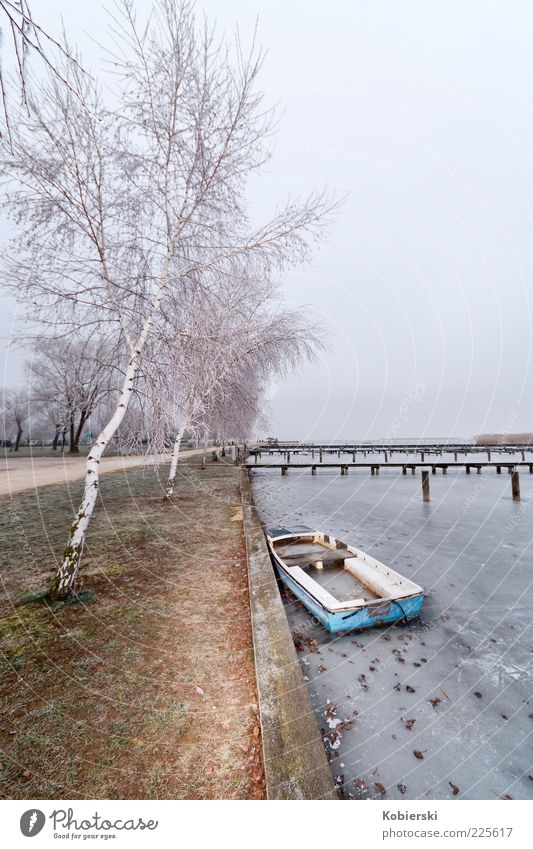 gestrandet Winter Ruderboot Wasser Eis Frost Baum Seeufer Binnenschifffahrt alt kalt kaputt Gelassenheit ruhig Einsamkeit stagnierend Vergangenheit
