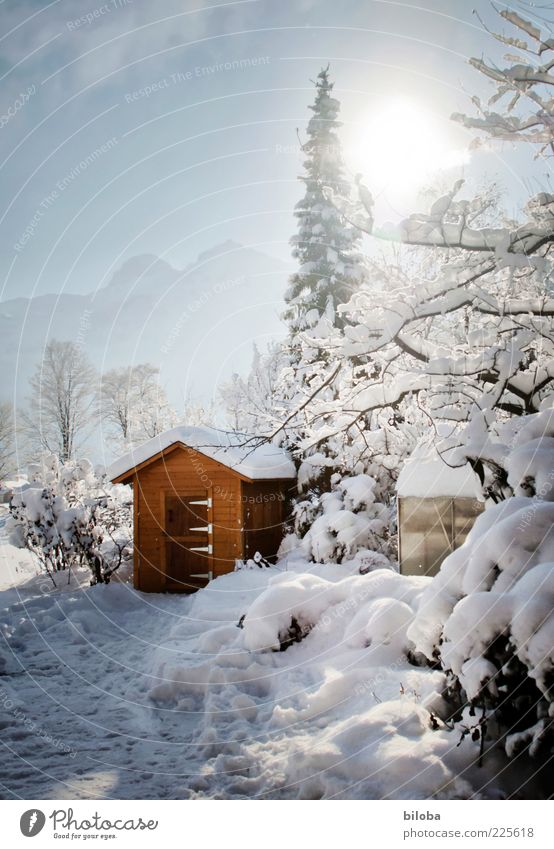 Wintermärchen Sonne Sonnenlicht Schönes Wetter Eis Frost Schnee Garten blau braun weiß Gartenhaus Baum Gegenlicht Menschenleer