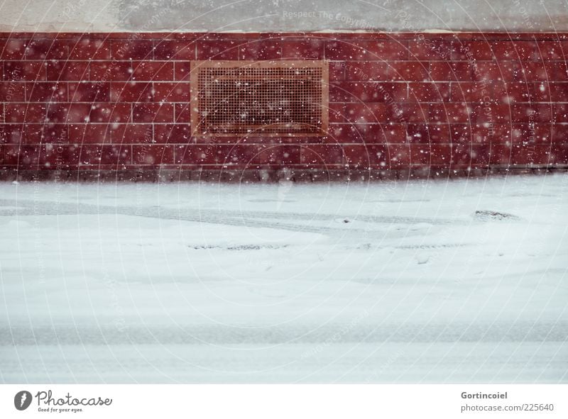 Schneegestöber Winter Schneefall Haus Straße kalt Schneeflocke Winterstimmung Farbfoto Außenaufnahme Schwache Tiefenschärfe Mauer Wand Reflexion & Spiegelung