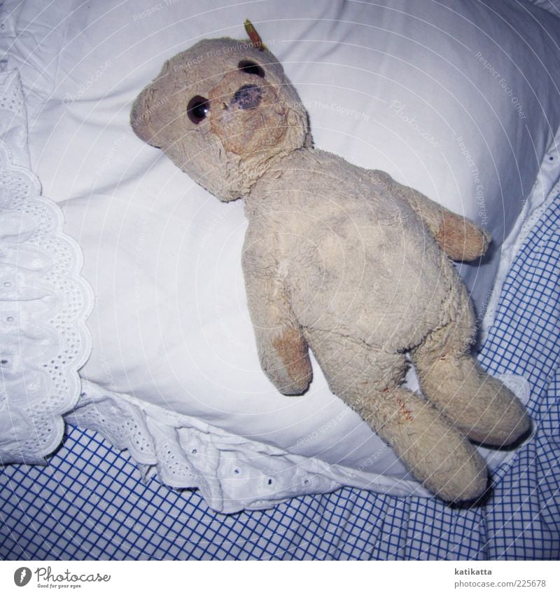 Schlaflos Bett Spielzeug Teddybär Stofftiere Sammlerstück alt liegen dreckig kuschlig niedlich positiv retro Sicherheit Geborgenheit Sehnsucht einzigartig