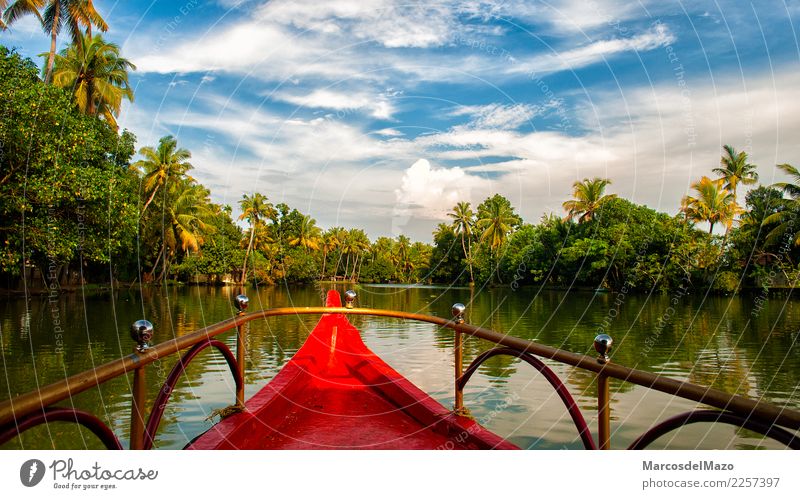 Kerala Backwaters, Indien. Ferien & Urlaub & Reisen Tourismus Abenteuer Sommer Segeln Natur Landschaft Wasser Schönes Wetter Wärme Baum See Fluss Verkehr