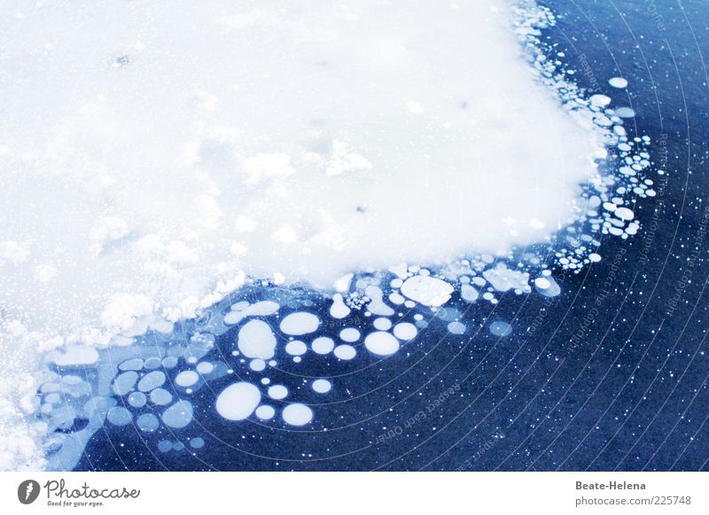 Eislinsen für coole Fotografen Urelemente Wasser Winter Klima Frost Seeufer frieren außergewöhnlich dünn fest Flüssigkeit kalt nass natürlich blau weiß