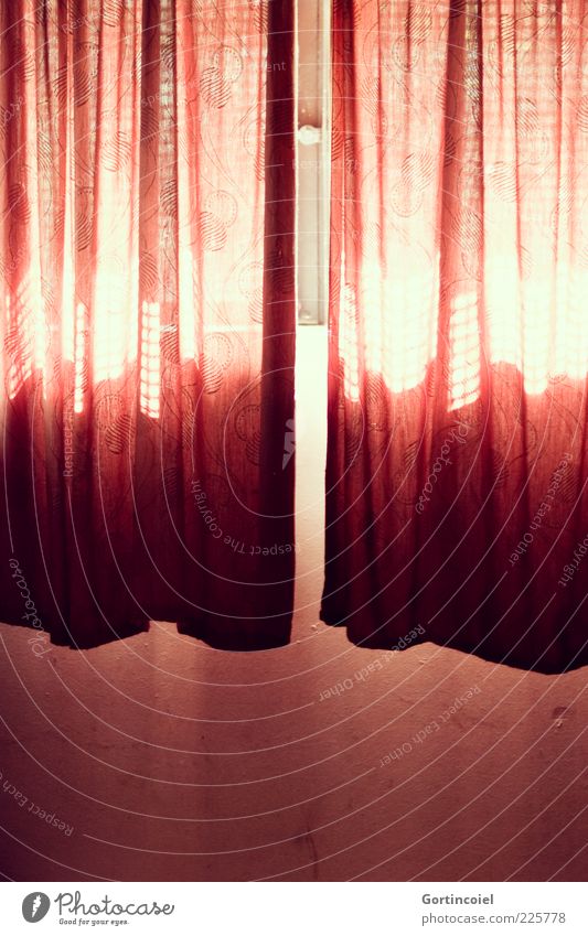 Hier kommt die Sonne Mauer Wand Fenster rot hell Vorhang Kellerfenster Lichtspiel Lichteinfall Farbfoto Innenaufnahme Muster Textfreiraum unten Tag Schatten