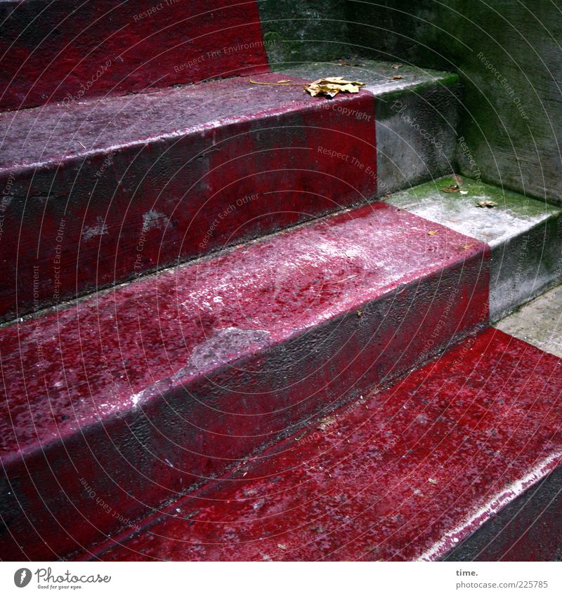 HH10.1 | Roter Treppichpichpich Blatt Treppe alt rot Perspektive Fälschung Schimmelpilze diagonal Eingang grün Bodenbelag Zement Beton Betonboden Ecke Mauer