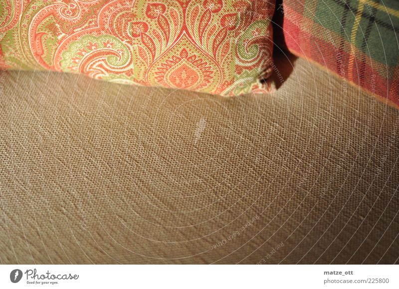 Kissen auf Sofa Dekoration & Verzierung Möbel Stoff Stoffmuster liegen elegant Sauberkeit weich Warmherzigkeit ruhig beige Muster kariert Farbfoto Innenaufnahme