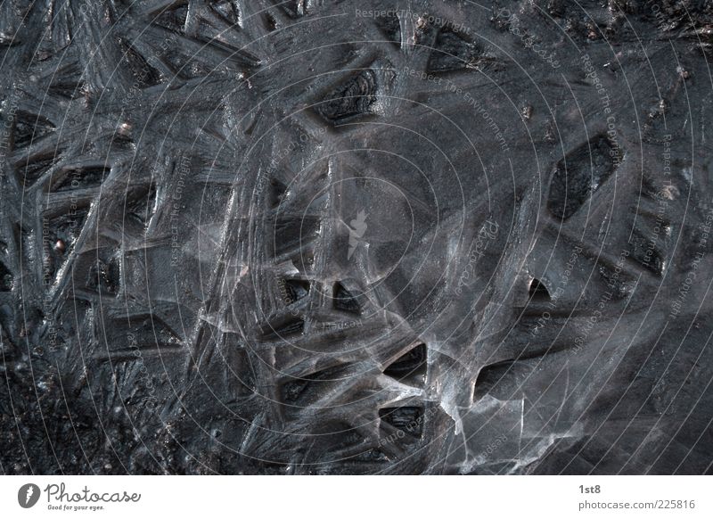 frozen crap Umwelt Natur Eis Frost alt glänzend eckig grau schwarz kalt Eisblumen Boden Glätte Außenaufnahme Detailaufnahme Textfreiraum links