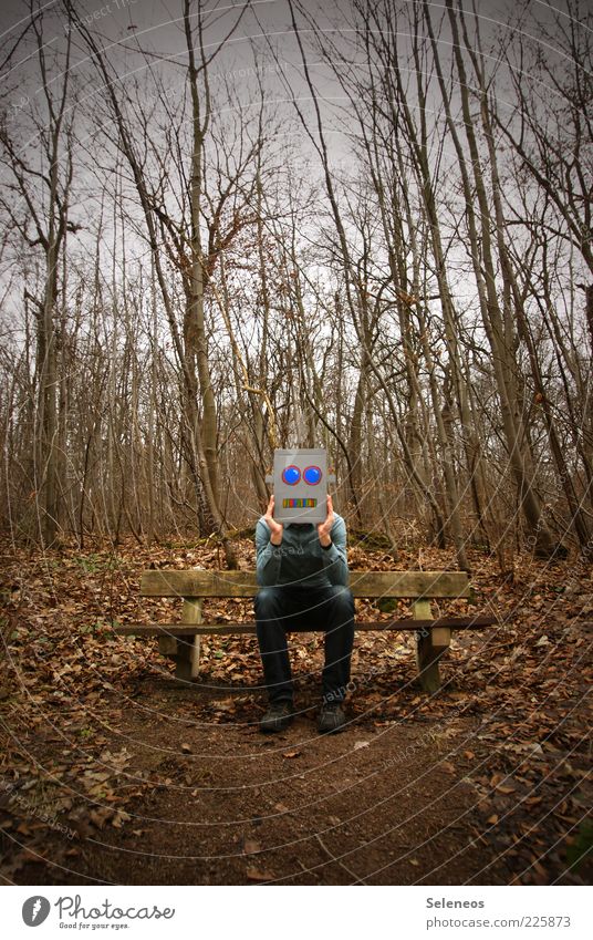 noch n Robbi! Mensch Herbst Baum Wald sitzen warten Einsamkeit Langeweile skurril Roboter Karton Farbfoto Außenaufnahme Tag Licht Ganzkörperaufnahme