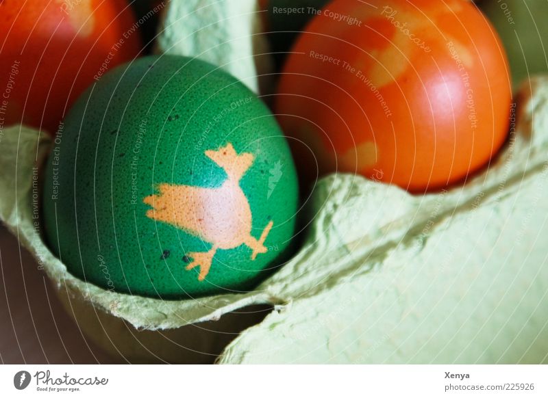 Hennendruck Lebensmittel Ostern grün Osterei Ei mehrfarbig Basteln Farbfoto Detailaufnahme Textfreiraum rechts Tag Figur bemalt Oval Feste & Feiern Eierkarton
