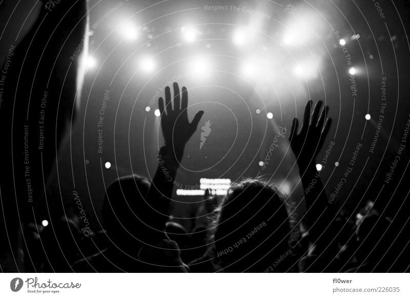 ++++PUT YOUR HANDS UP IN THE AIR++++ Veranstaltung Musik Publikum Arme Hand Finger Bühne Konzert authentisch schwarz Gefühle Stimmung Begeisterung Erwartung