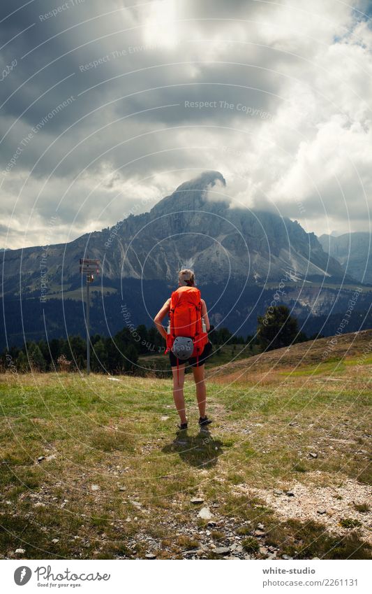 Berg in Sicht Ferien & Urlaub & Reisen Tourismus Ausflug Abenteuer Sommer Sommerurlaub Junger Mann Jugendliche 18-30 Jahre Erwachsene Hügel Felsen Alpen
