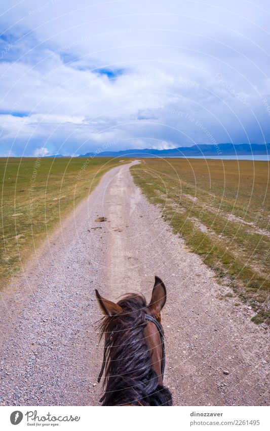 Vom Pferd zurück, Kirgisistan Lifestyle Freizeit & Hobby Ferien & Urlaub & Reisen Sommer Berge u. Gebirge Sport Natur Landschaft Tier Gras Park Wiese See