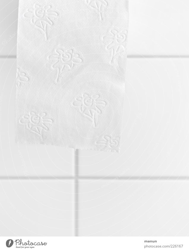 Für'n A... Körperpflege Körperpflegeutensilien Bad Toilette Toilettenpapier authentisch einfach frisch Sauberkeit weich Reinlichkeit rein Innenaufnahme Muster