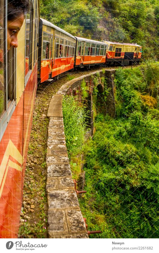 Train Ride in the Himalayas Zufriedenheit Ferien & Urlaub & Reisen Tourismus Ausflug Abenteuer Ferne Freiheit Sightseeing Umwelt Natur Landschaft Pflanze
