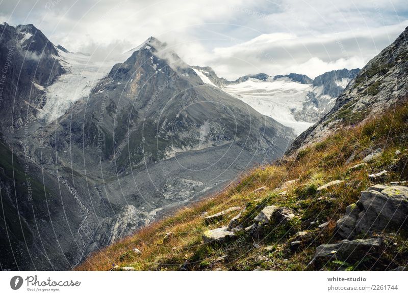 Eiszeit harmonisch Sommerurlaub Berge u. Gebirge wandern Umwelt Natur Landschaft Pflanze Urelemente Felsen Alpen Gipfel Schneebedeckte Gipfel Gletscher