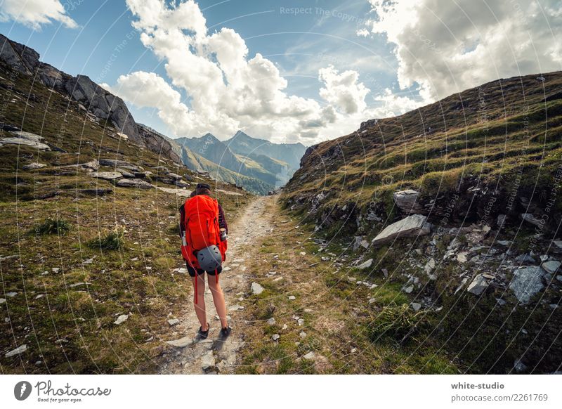 Auf ins Abenteuer Junge Frau Jugendliche 18-30 Jahre Erwachsene Umwelt Natur Landschaft Felsen Alpen Berge u. Gebirge Gipfel wandern Rucksack Rucksacktourismus