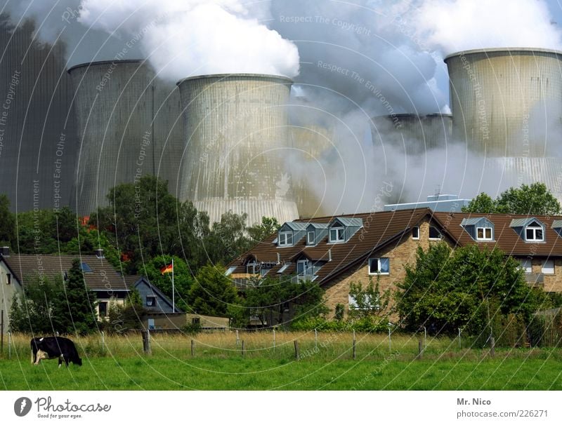 Deutschland Haus Garten Fabrik Industrie Energiewirtschaft Kohlekraftwerk Energiekrise Umwelt Klima Klimawandel Wiese Dorf Nutztier Kuh 1 Tier Rauch Fahne