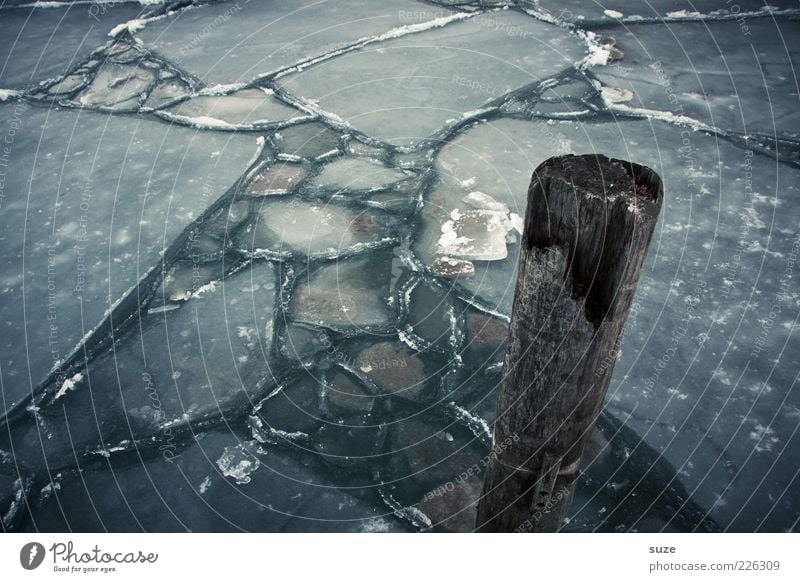 Stumpf Wasser Eis Frost Ostsee Meer Holz dunkel kalt Einsamkeit Eisfläche Eisschicht Pfosten Holzpfahl Anlegestelle gefroren Winter Farbfoto Gedeckte Farben