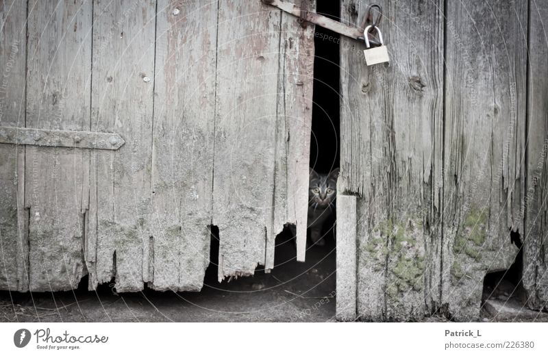 hinter verschlossenen Türen - ein lizenzfreies Stock Foto von