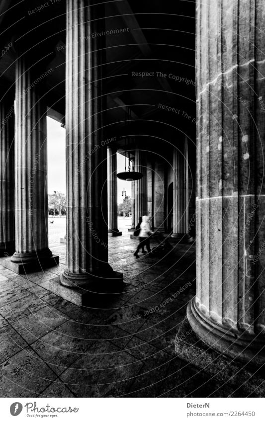 Säulen Berlin Hauptstadt Stadtzentrum Bauwerk Gebäude Architektur Sehenswürdigkeit Brandenburger Tor grau schwarz weiß Pflastersteine Mensch Schwarzweißfoto