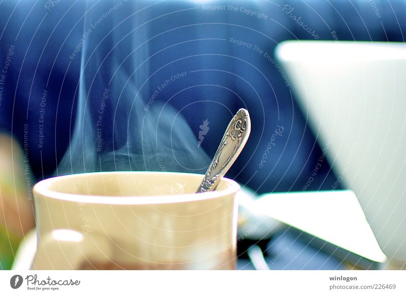 Trinkst du Kaffee beim Surfen? Ernährung Kaffeetrinken Getränk Heißgetränk Kakao Tee Tasse Becher Löffel Lifestyle Design Freizeit & Hobby Computerspiel