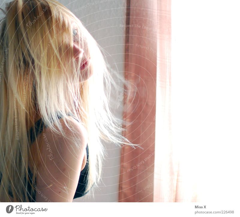 Ces schön Haare & Frisuren Mensch feminin Junge Frau Jugendliche 1 18-30 Jahre Erwachsene blond Farbfoto Innenaufnahme Licht Sonnenlicht Oberkörper