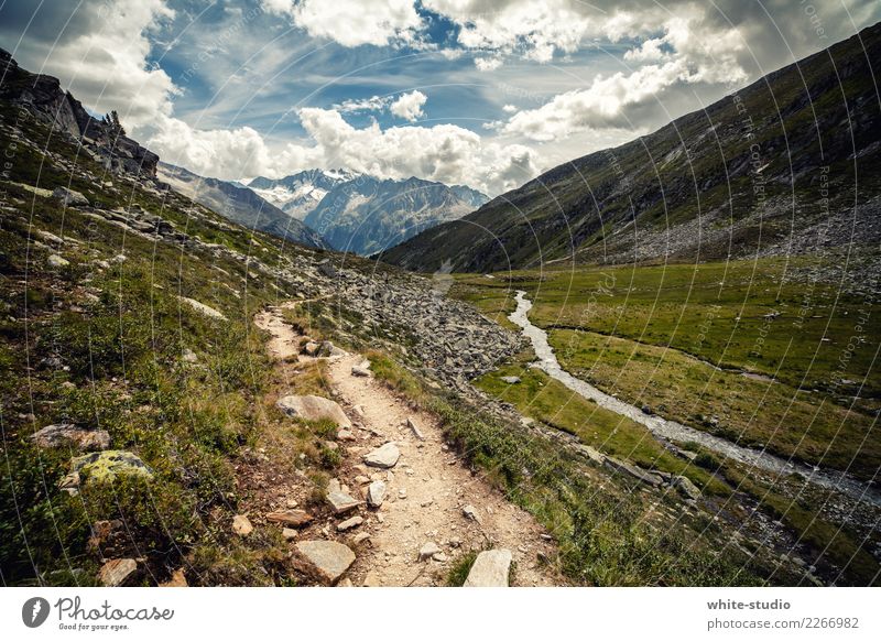Ein einsamer Pfad. Umwelt Natur Landschaft Pflanze Wolken Sommer Felsen Alpen Berge u. Gebirge Schneebedeckte Gipfel schön Traumlandschaft Erholungsgebiet