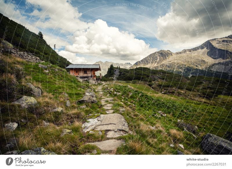 Berghütte Gesundheit Freizeit & Hobby Sommer Sommerurlaub Sonne Berge u. Gebirge wandern Hügel Alpen Panorama (Aussicht) Hütte Hüttenferien Bergurlaub