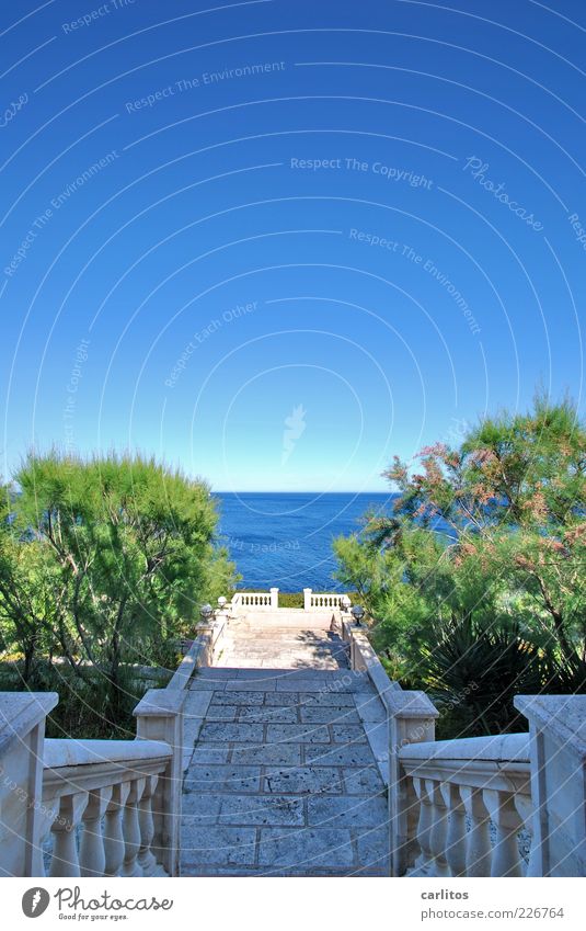 Meer erleben Wasser Wolkenloser Himmel Sommer Schönes Wetter Pflanze Sträucher Garten Küste Treppe Terrasse ästhetisch Geländer Aussicht mediterran Mallorca