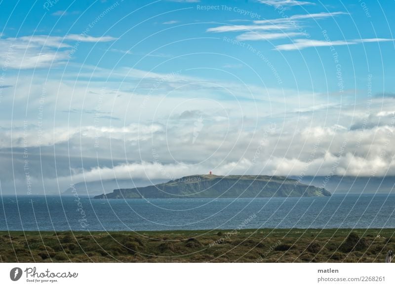 Insel Grimsey Natur Landschaft Pflanze Luft Wasser Himmel Wolken Horizont Frühling Schönes Wetter Gras Berge u. Gebirge Gipfel Küste Meer Menschenleer