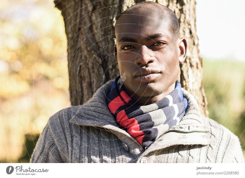 Junger attraktiver schwarzer Mann in Freizeitkleidung im Stadtpark schön Mensch maskulin Junger Mann Jugendliche Erwachsene 1 18-30 Jahre Straße Bekleidung Hemd