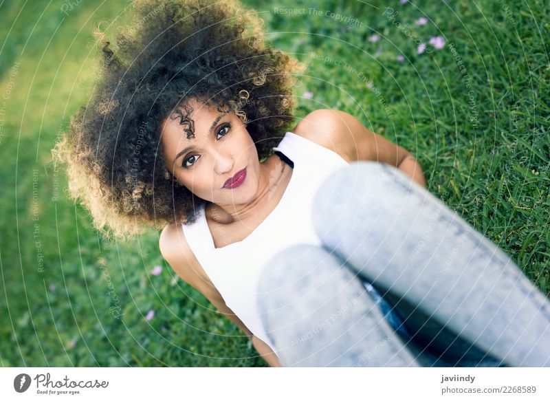 Gemischte Frau mit Afro-Frisur, die im Stadtpark sitzt. Lifestyle Stil Glück schön Haare & Frisuren Gesicht Sommer Mensch feminin Junge Frau Jugendliche