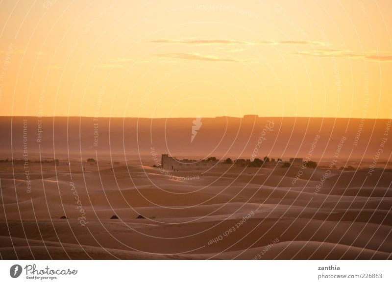 Wüste Natur Landschaft Sand Himmel Wolken Sonnenaufgang Sonnenuntergang Schönes Wetter Sahara Düne Ruine ruhig Einsamkeit Endzeitstimmung Ewigkeit Horizont