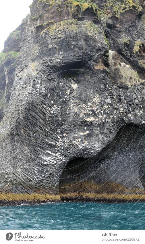 Halber Breitmaulfrosch Natur Urelemente Wasser schlechtes Wetter Felsen Berge u. Gebirge Vulkan Küste Meer außergewöhnlich wild steil vulkanisch Steilwand