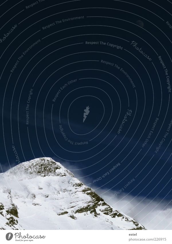 Bergsichten Ferne Freiheit Winter Schnee Berge u. Gebirge Skipiste Tiefschnee Mond Alpen Gipfel Schneebedeckte Gipfel Gletscher kalt wild blau weiß geduldig