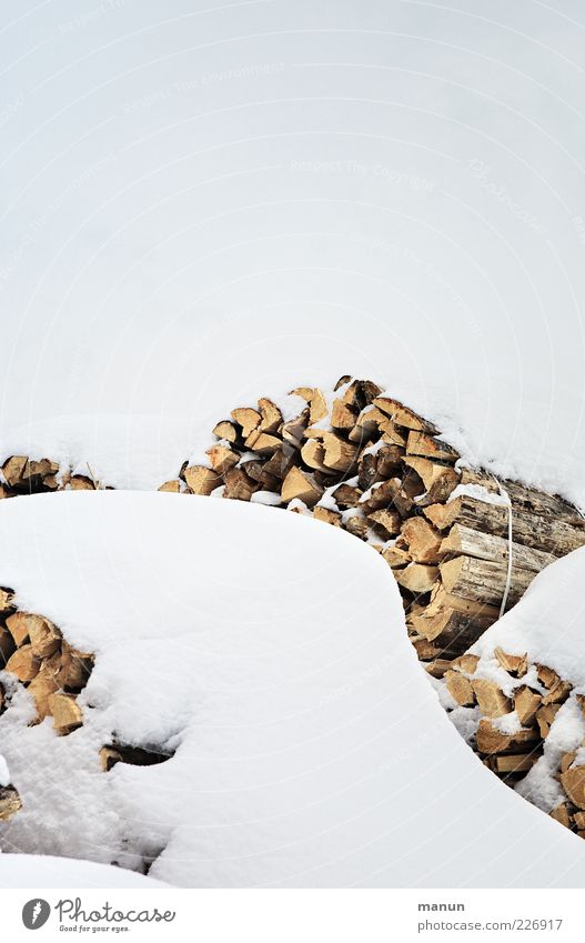 Brennholz Natur Himmel Winter Eis Frost Schnee Holz Rohstoffe & Kraftstoffe Rohstofflager nachwachsender Rohstoff Stapel authentisch einfach hell kalt natürlich